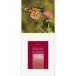 Liturgischer Kalenderblock Schmetterling 2026