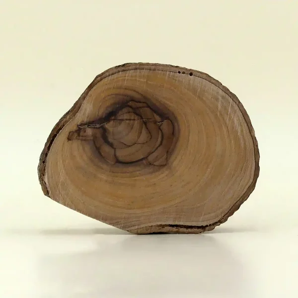 Mini Krippe aus Bethlehem 7 cm