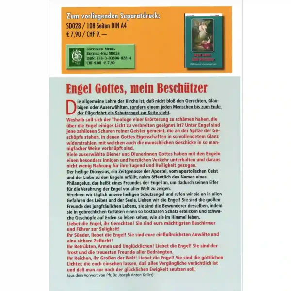 Engel Gottes mein Beschützer
